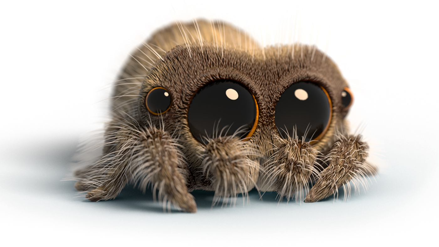 YouTube's favorite creature, Lucas the Spider, is getting an official  plushie - Polygon