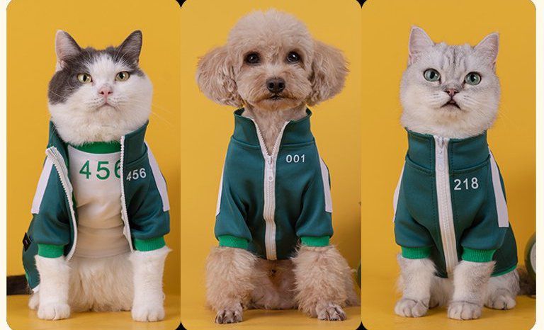 Two cats and a dog wearing green Squid Game sportswear from a defunct online list