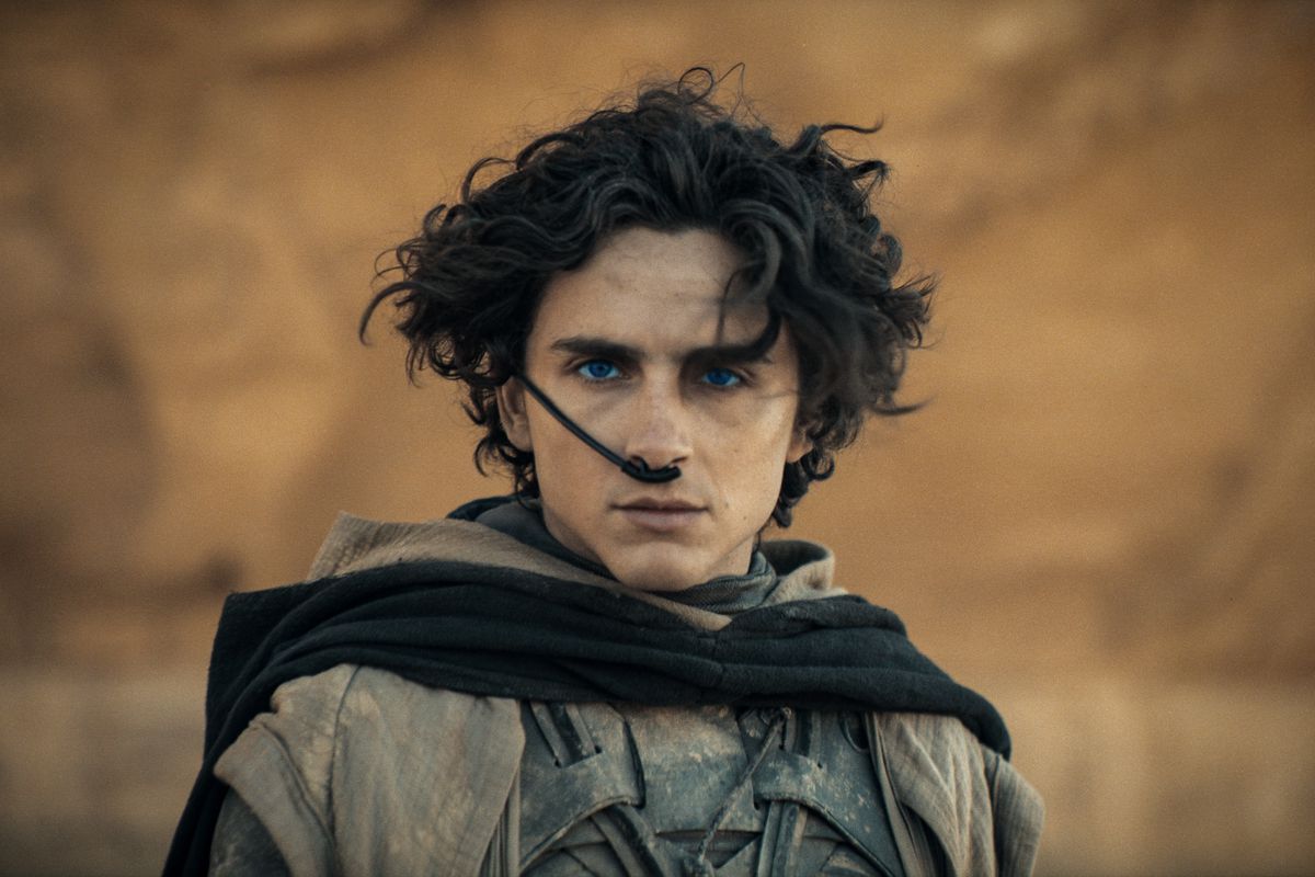 Timothée Chalamet gazing fixedly into the camera while wearing desert garb with a breathing tube in his nose, from the movie Dune: Part Two.