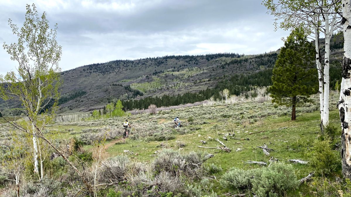 Walt Chudleigh and Les England ride the Slate Creek Mountain Bike Trail.