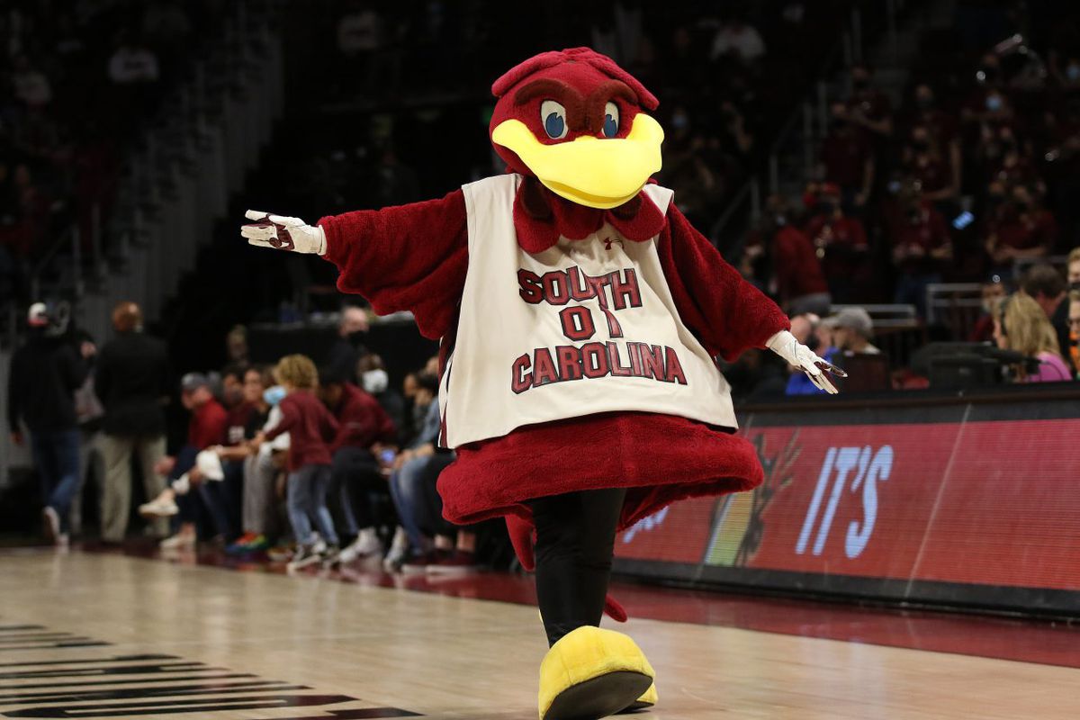 South Carolina mascot bouncing down the side of the basketball court
