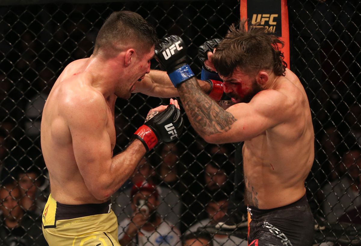 UFC Fight Night: Luque v Perry