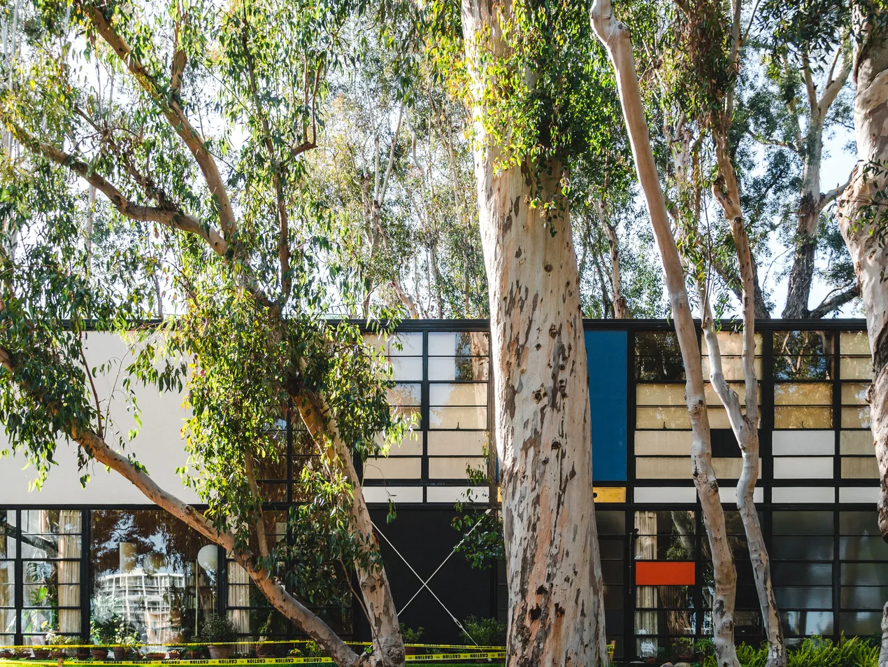 The Eames house with blue, red, and yellow panels on the exterior. There is a large tree outside of the house. 