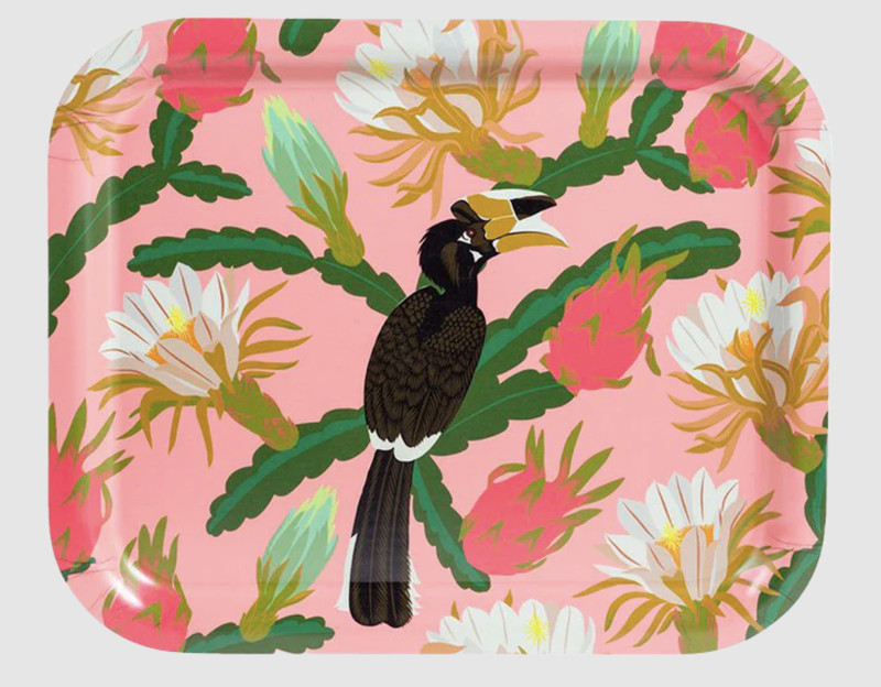 A plate with a painting of a toucan perched on a dragonfruit plant.