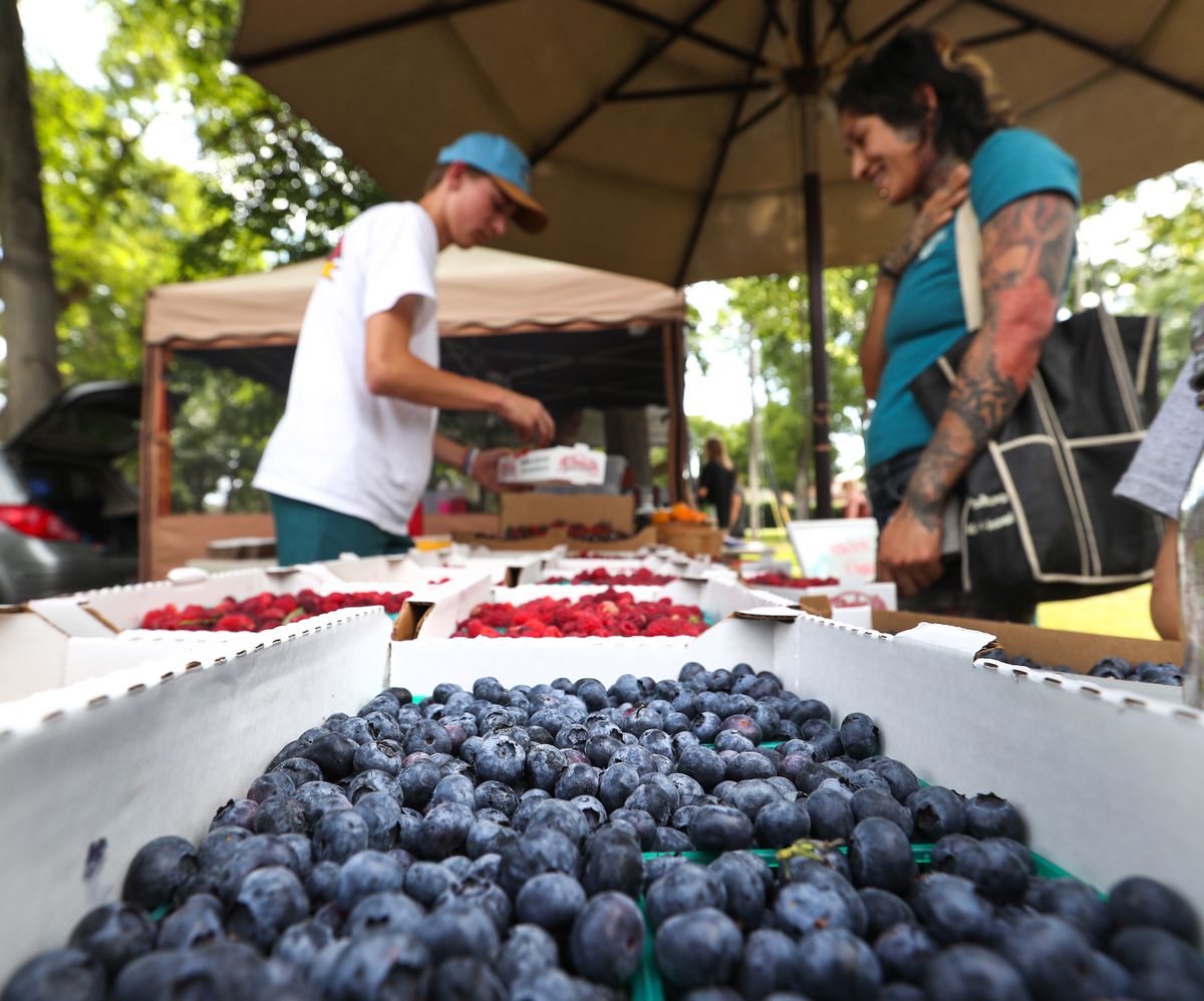 Benson Weeks sells blueberries and raspberries from his booth at the Sugarhouse Farmers Market at Fairmont Park in Salt Lake City on Wednesday, July 11, 2018.