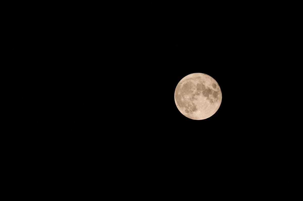 Ayın fotoğrafı. 