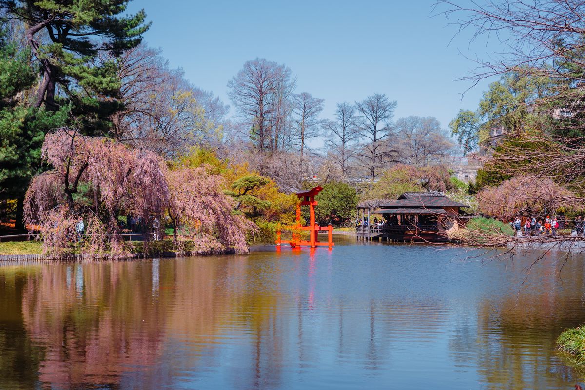 Brooklyn Botanic Garden | The Official Guide to New York City