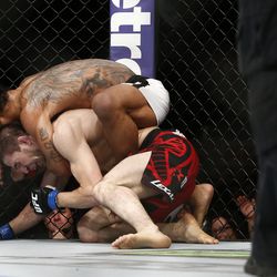 UFC Fight Night 42 photos