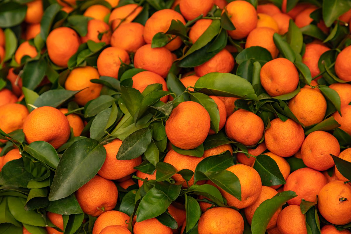 A large pile of tangerines with their leaves still attached.