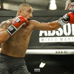 Robert Whittaker shows off his striking at UFC 234 media workout.
