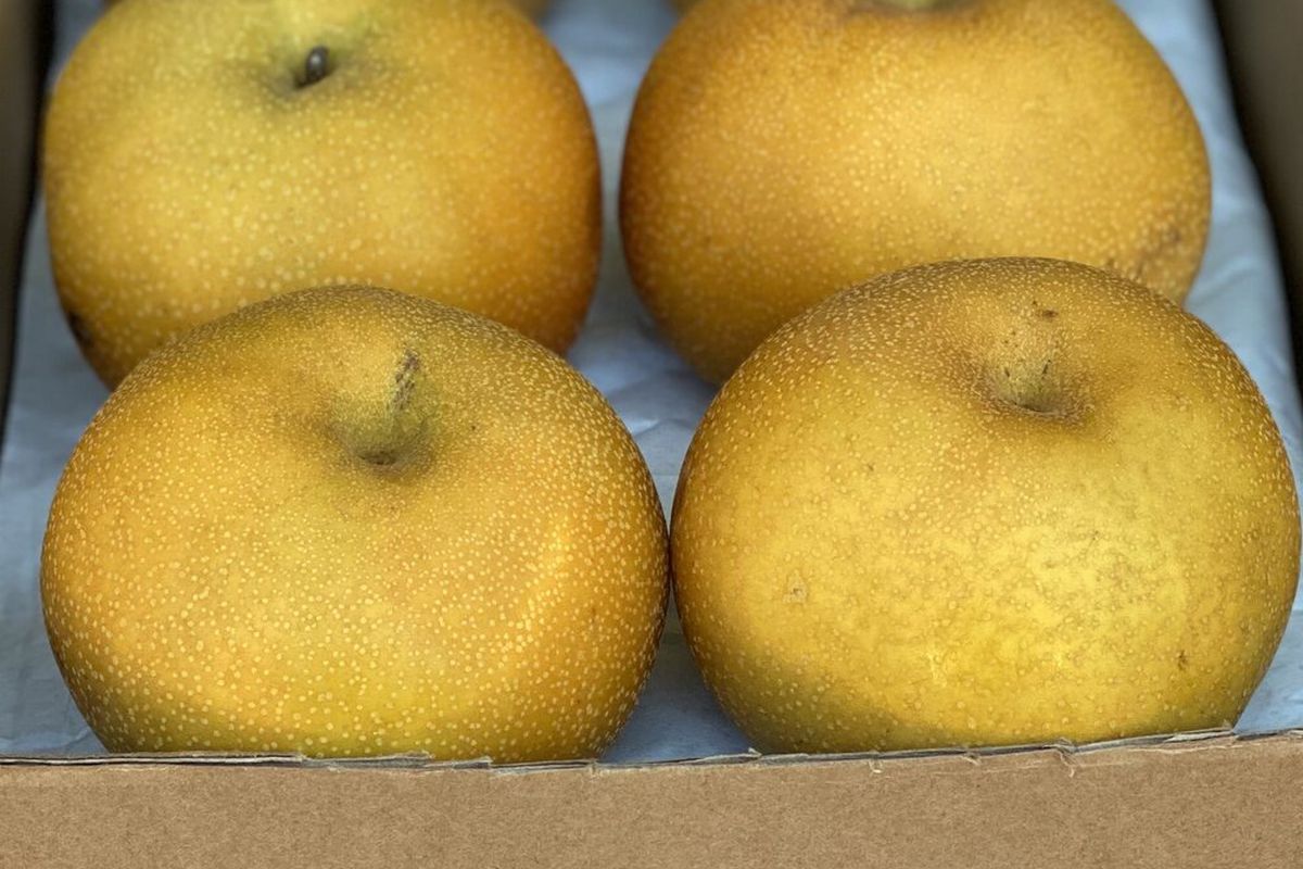 A box of Niitaka Asian Pears.