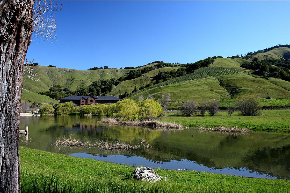 Sprawling green hills, with a small pond in the foreground and planted vineyards visible in the distance.