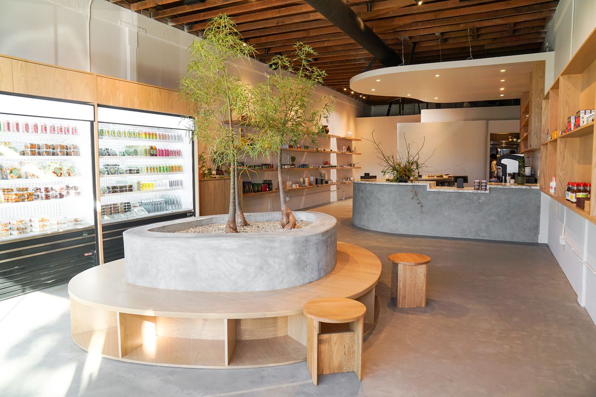 Suá Superette in Larchmont with an indoor tree, bench seating, and retail shelves.