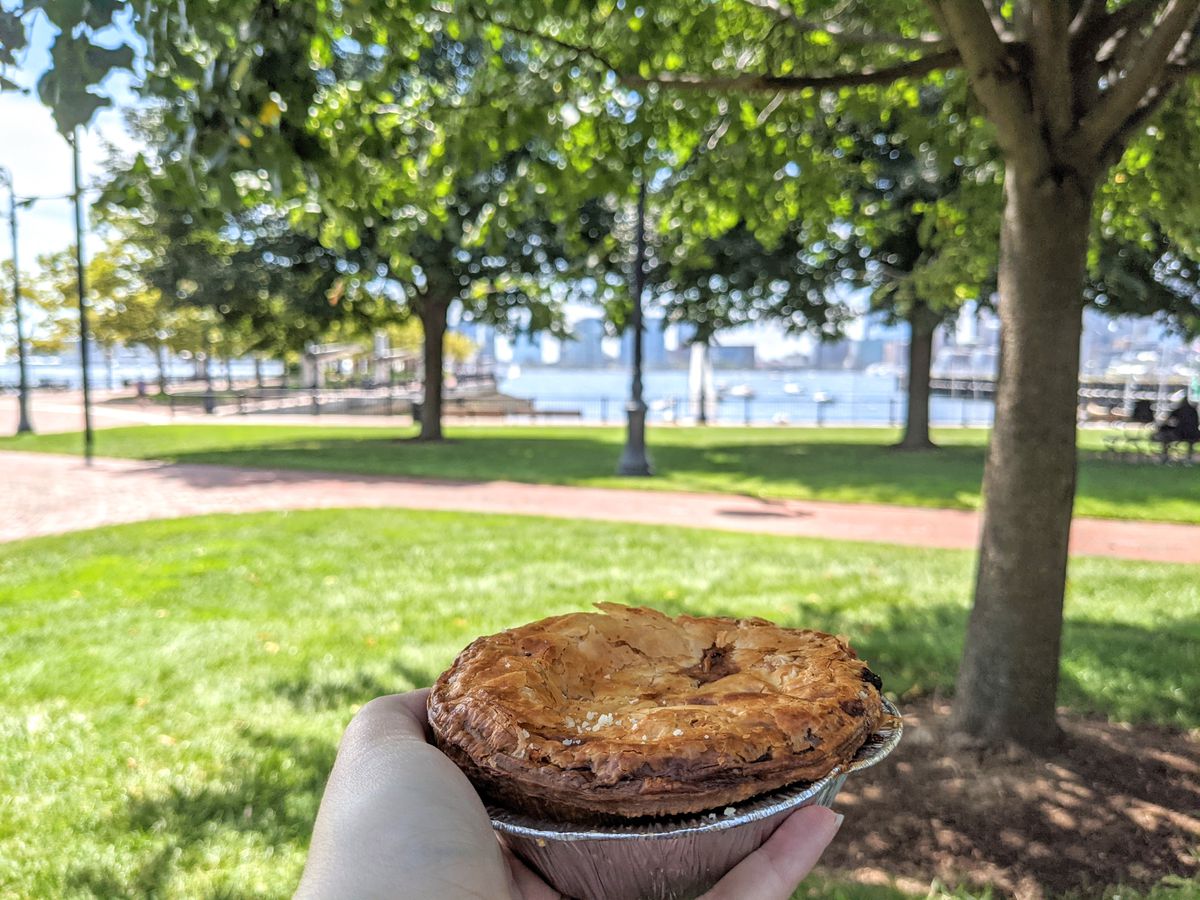 A hand holds up a small, flaky Australian meat pie in a park, with a waterfront visible in the background.
