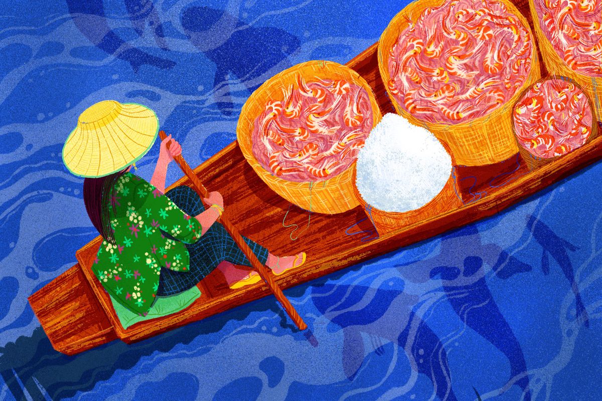 A woman paddles a narrow wooden boat filled with baskets of shrimp and salt. Illustration.