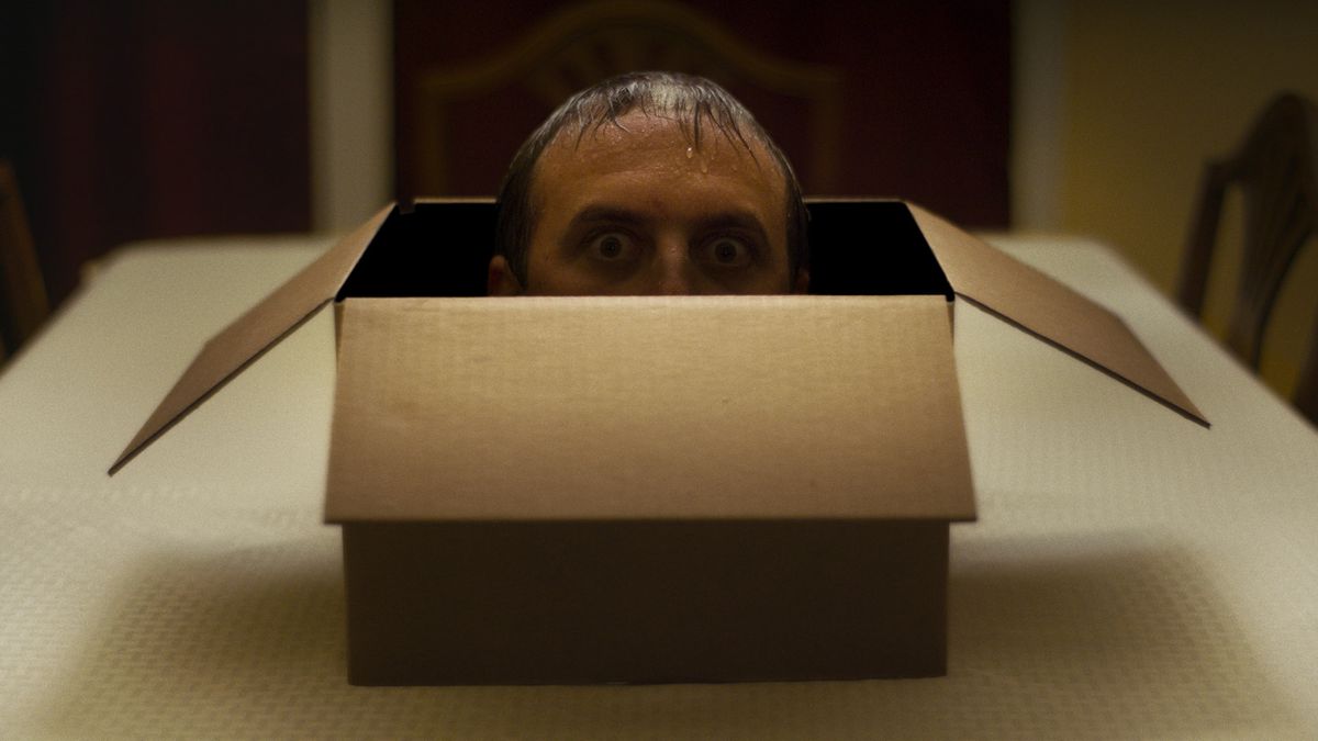 A man’s head emerging from a cardboard box