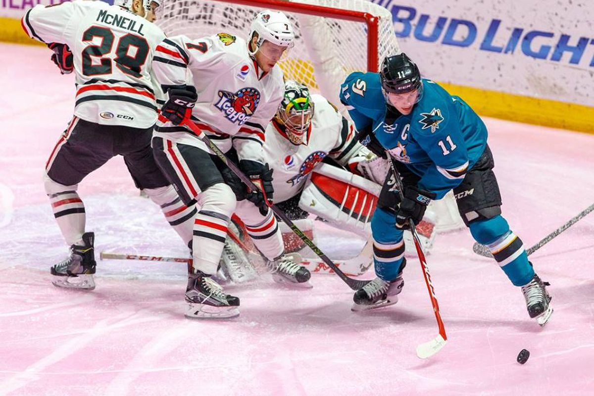 San Jose Barracuda captain Bryan Lerg had a two point game with a goal and an assist in the Barracuda's 5-2 win over the Rockford IceHogs Friday night at the BMO Harris Bank Center. (Facebook.com/RockfordIceHogs)
