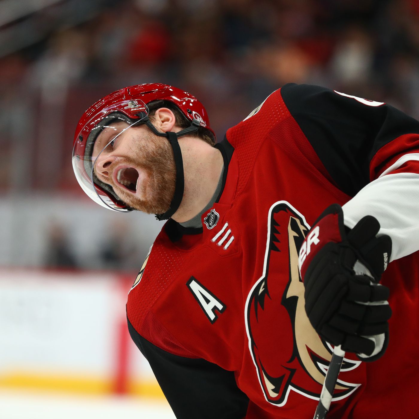 5 Questions About The Arizona Coyotes With SB Nation's Five For Howling -  The Copper & Blue