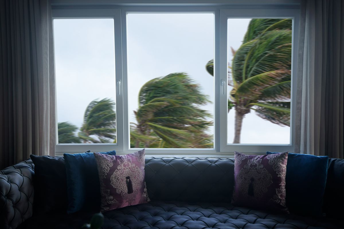 View of palm trees blowing in the wind outside the window.