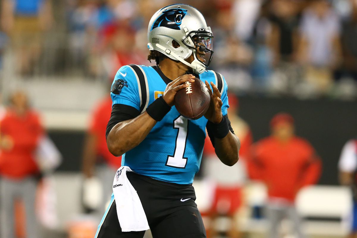 Carolina Panthers quarterback Cam Newton drops back to pass against the Tampa Bay Buccaneers during the third quarter at Bank of America Stadium.