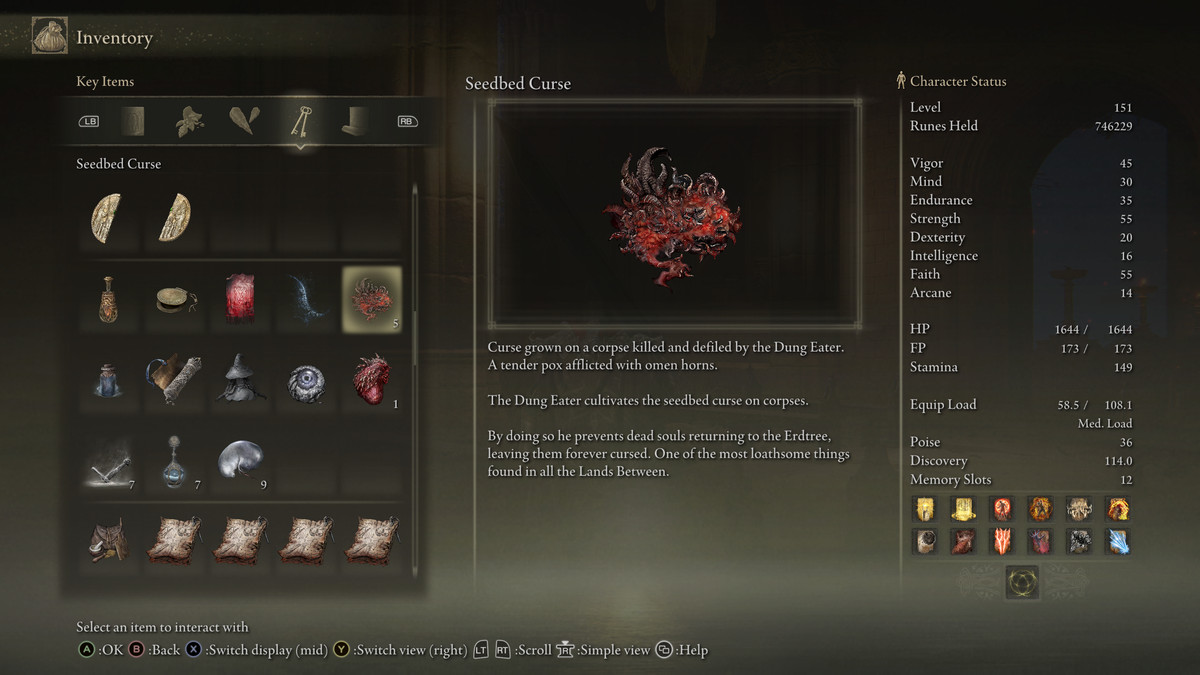 A screenshot of the Elden Ring of Seedbed Curse in the player inventory.