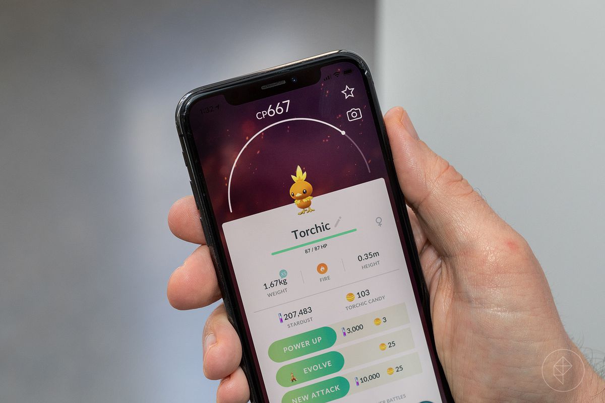 A hand holds up a phone with the Pokémon Go Torchic stat screen