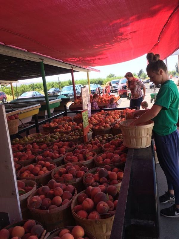 A customer at Grammy's Fruit and Produce picks up some peaches.