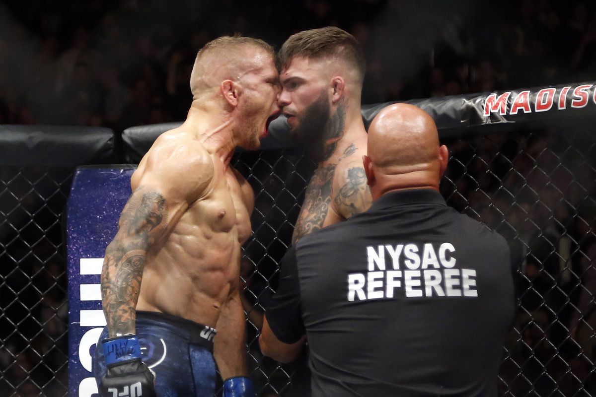 MMA: UFC 217-Garbrandt vs Dillashaw