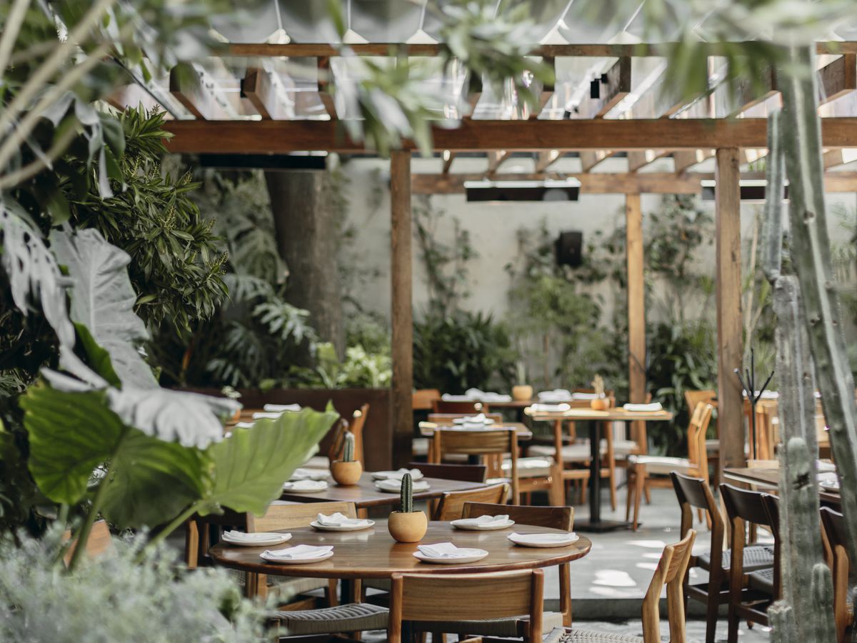 A restaurant patio enshrouded in foliage with blond wood tables, chairs, and canopy. 