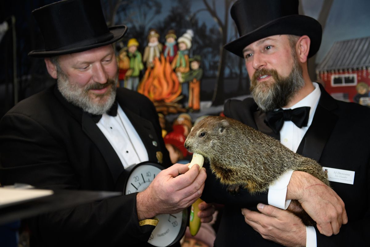 Annual Groundhog’s Day Tradition In Punxsutawney, Pennsylvania Will Take Place Without The Usual Crowd