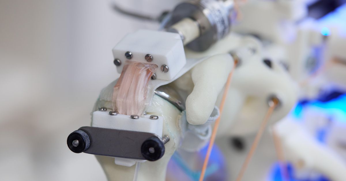Scientists grow cells on a robot skeleton (but don’t know what to do with them y..