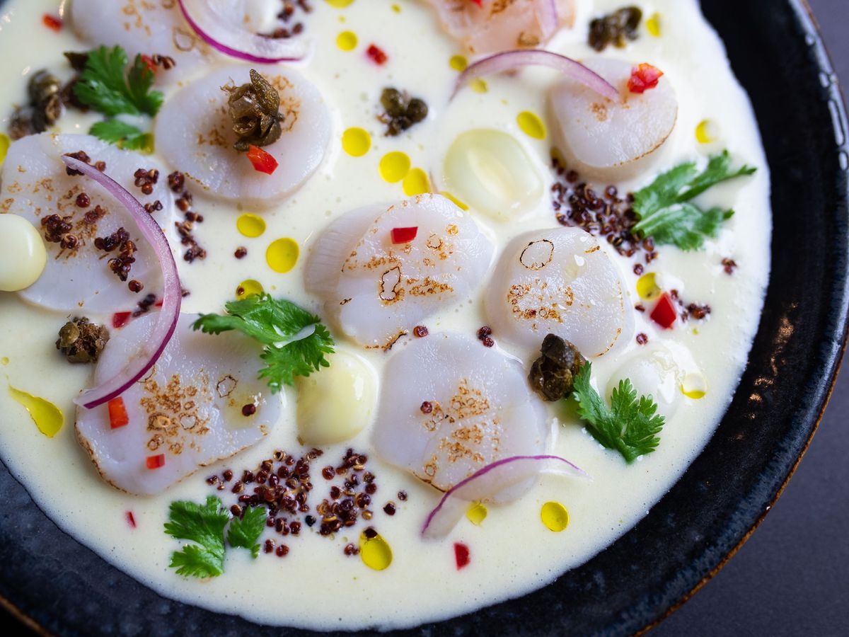 pieces of raw fish in milk sauce and topped with herbs