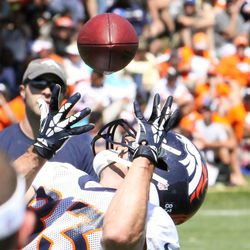 Broncos WR Wes Welker looks way back to bring in this over the shoulder pass