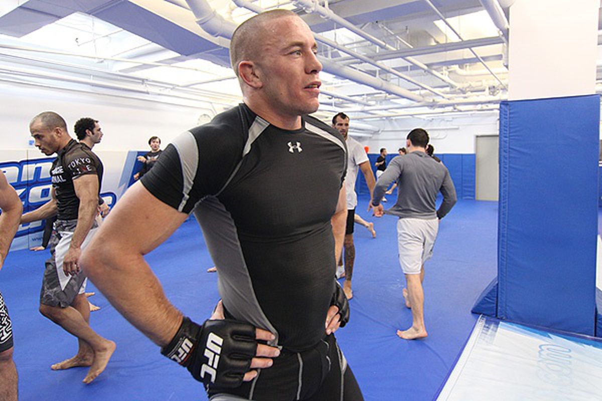 Georges St-Pierre is MMA For Real's No. 1 welterweight. Photo by Dave Mandel/<a href="http://www.sherdog.com/">Sherdog.com</a>