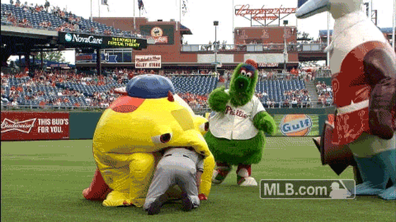Mascots devours Phillies fan.