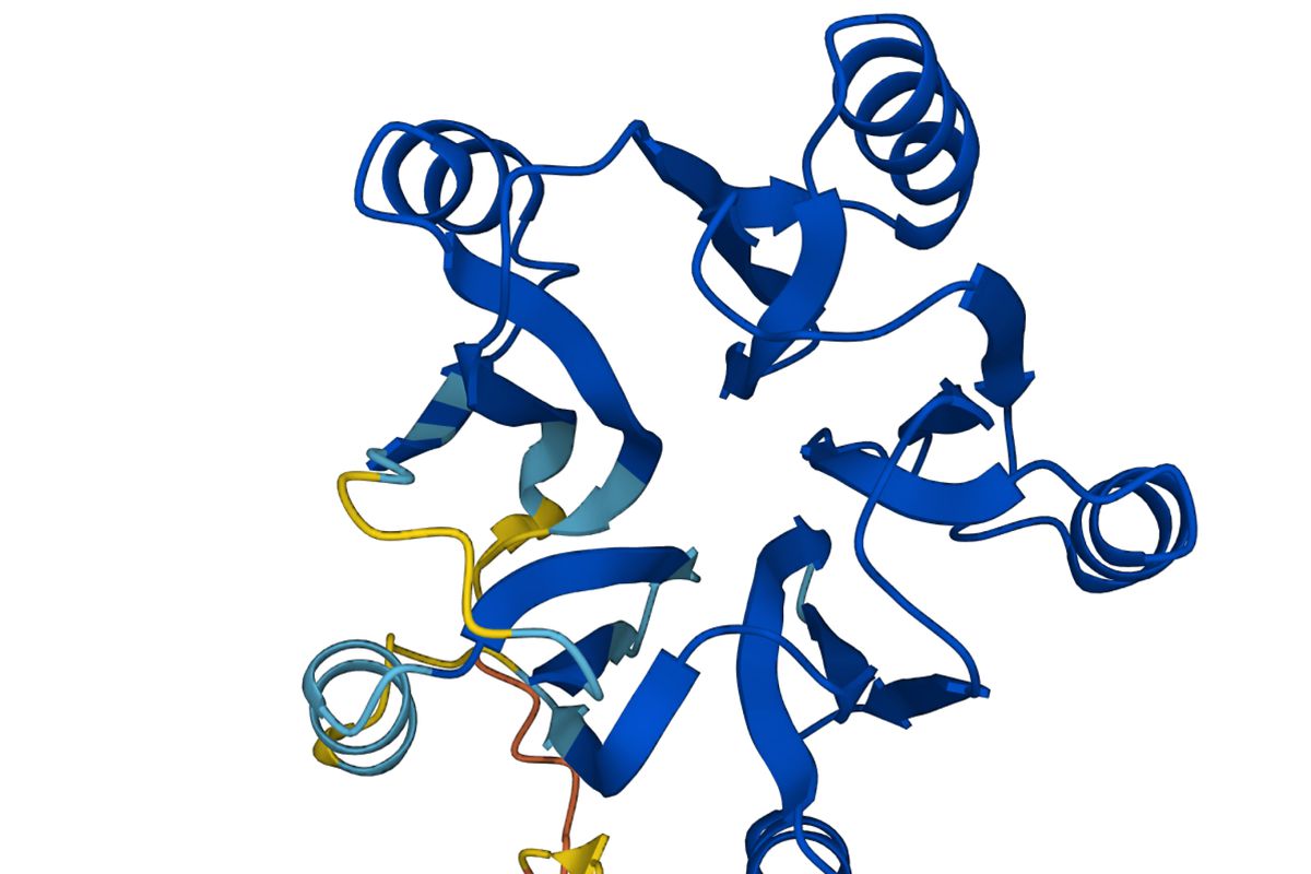 AlphaFold’s prediction for the structure of protein F20H23.2