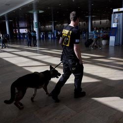 An Israeli airport security guard patrols with a dog in Ben Gurion airport near Tel Aviv, Israel, Tuesday, March 22, 2016. After the Brussels attacks, Israel briefly announced that all Israeli flights from Europe were canceled, then reinstated the flights, Israel Airports Authority spokesman Ofer Leffler said. Pini Schiff, former director of security at Ben-Gurion Airport, said the attack in the Brussels airport was “a colossal failure” of Belgian security, and he said “the chances are very low” that such a bombing could take place in Israel’s airport. Israel's Ben-Gurion Airport is considered among the most secure in the world, an outcome stemming from several Palestinian attacks on Israeli planes and travelers in the 1970s. 