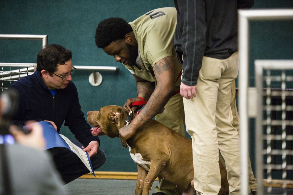 Ald Ray Lopez, detainee Devon Hodge and Sarge at the graduation ceremony for dogs participating in the Cook County Sheriff’s second Tails of Redemption class on Wednesday, March 27, 2019. | James Foster/For the Sun-Times