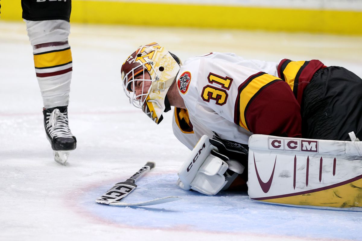 AHL: FEB 08 Chicago Wolves at Cleveland Monsters