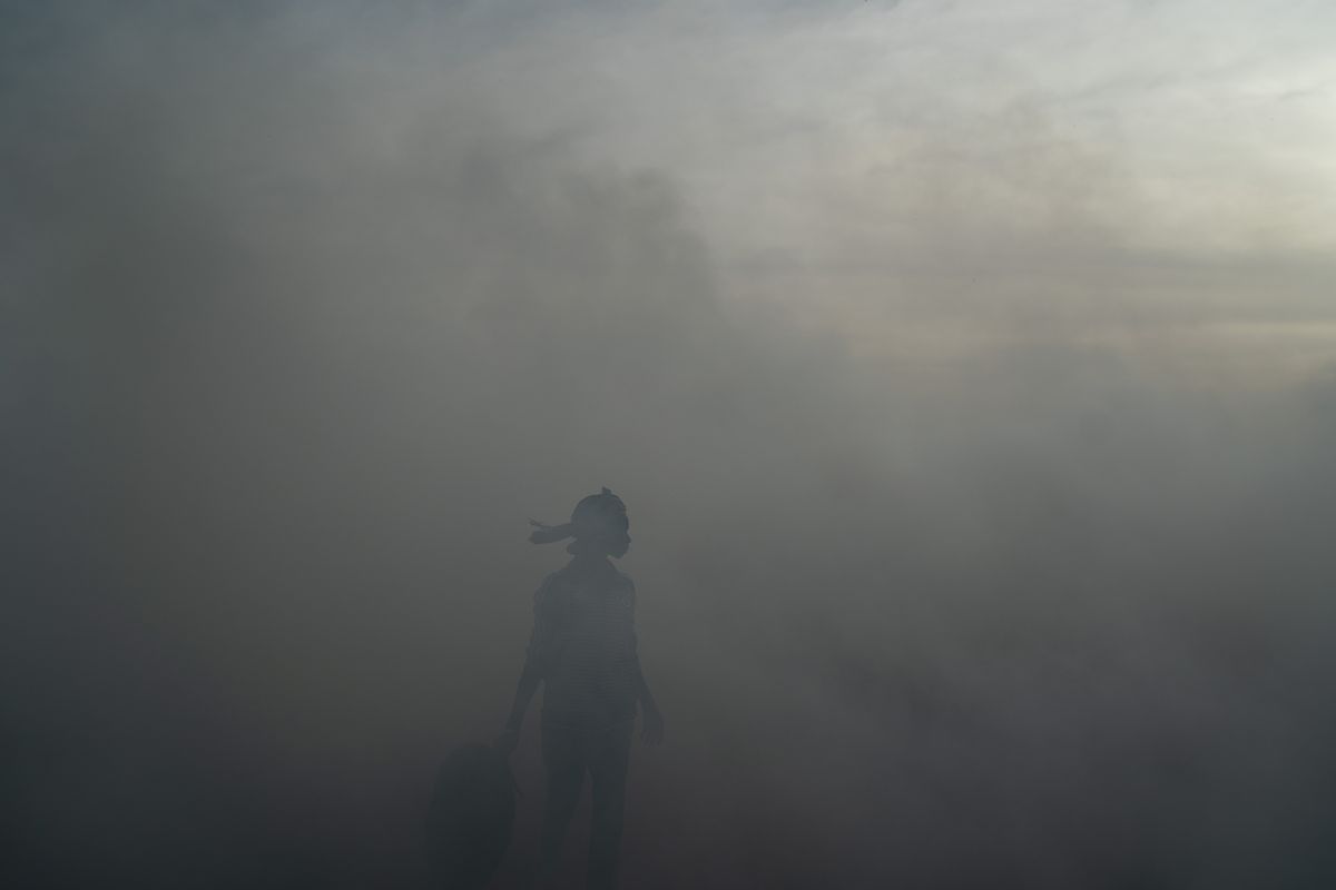 A woman working on a fish-processing site walks through the thick smoke coming from burning peanut shells used to cure fish on Bargny beac.