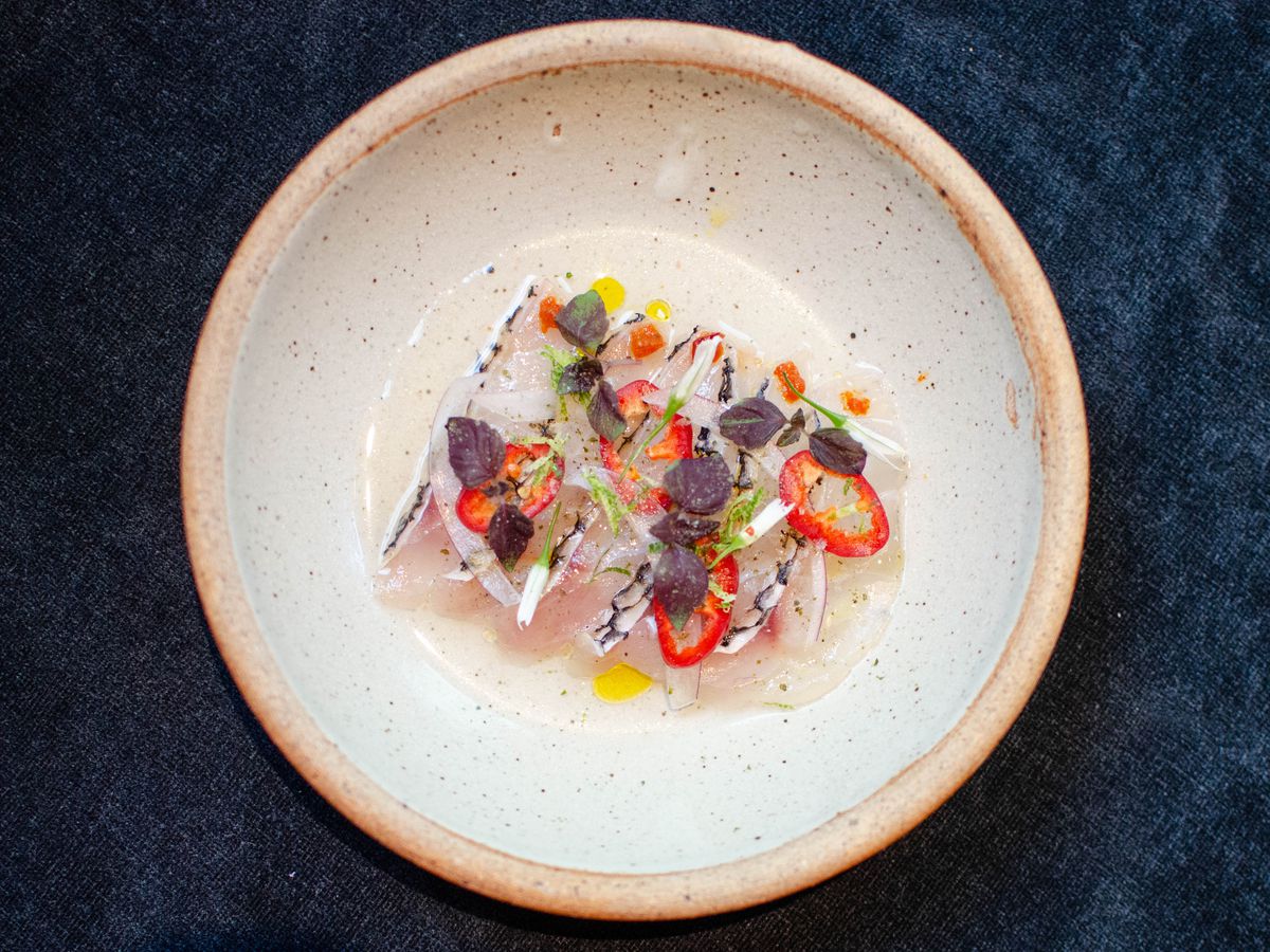 Overhead view of a crudo topped with bright red sliced chiles, small purple leaves, and dots of olive oil. It sits on an off-white speckled plate on a dark blue velour background.