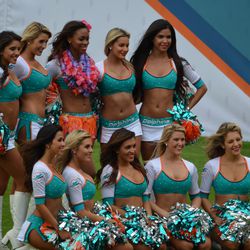 Dec. 15, 2013 Miami Gardens, FL - Miami Dolphins Cheerleaders pose as a group during the second half of the team's game against the New England Patriots. Natalie was selected to attend the Pro Bowl in Hawaii as the team's representative this season.  