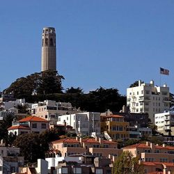 You've heard of the wild parrots of Telegraph Hill and you've seen Coit Tower from a distance, but have you ever tried climbing up the hill? Here's your chance. National Geographic suggests <a href="http://travel.nationalgeographic.com/travel/city-guides/