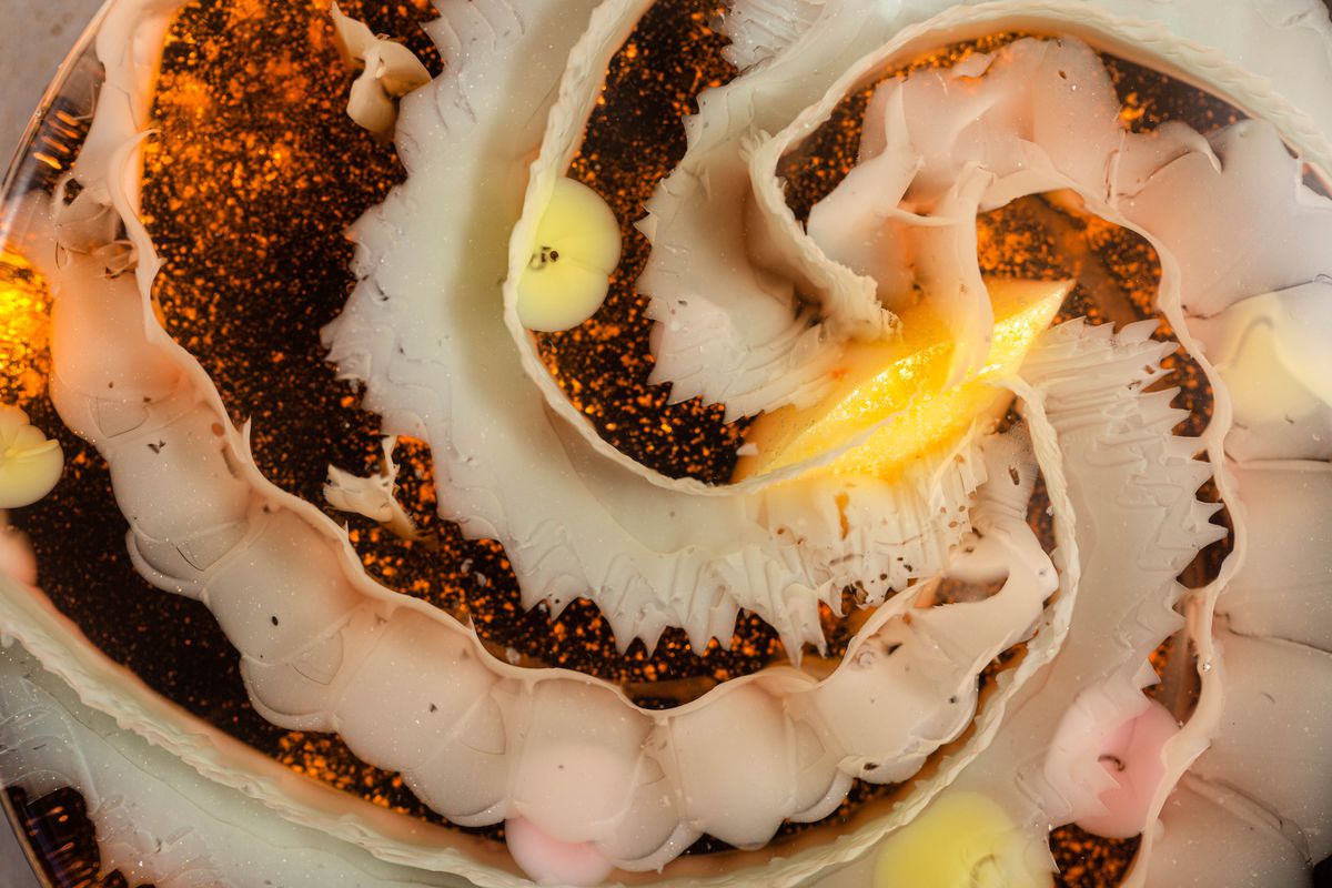 A close-up of a constellation-like pattern inside the Boozy Cosmos jelly cake.