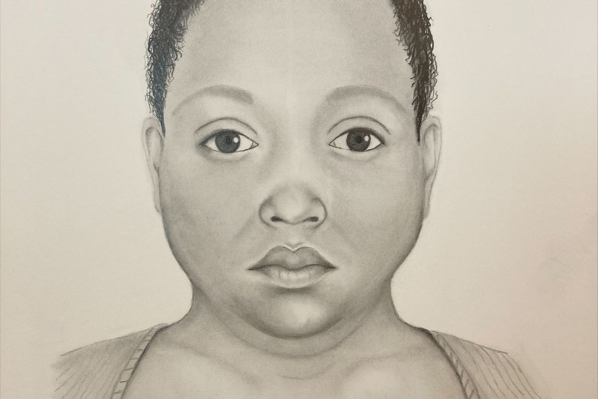 A sketch of an unidentified woman pulled from Lake Michigan on Aug. 15.