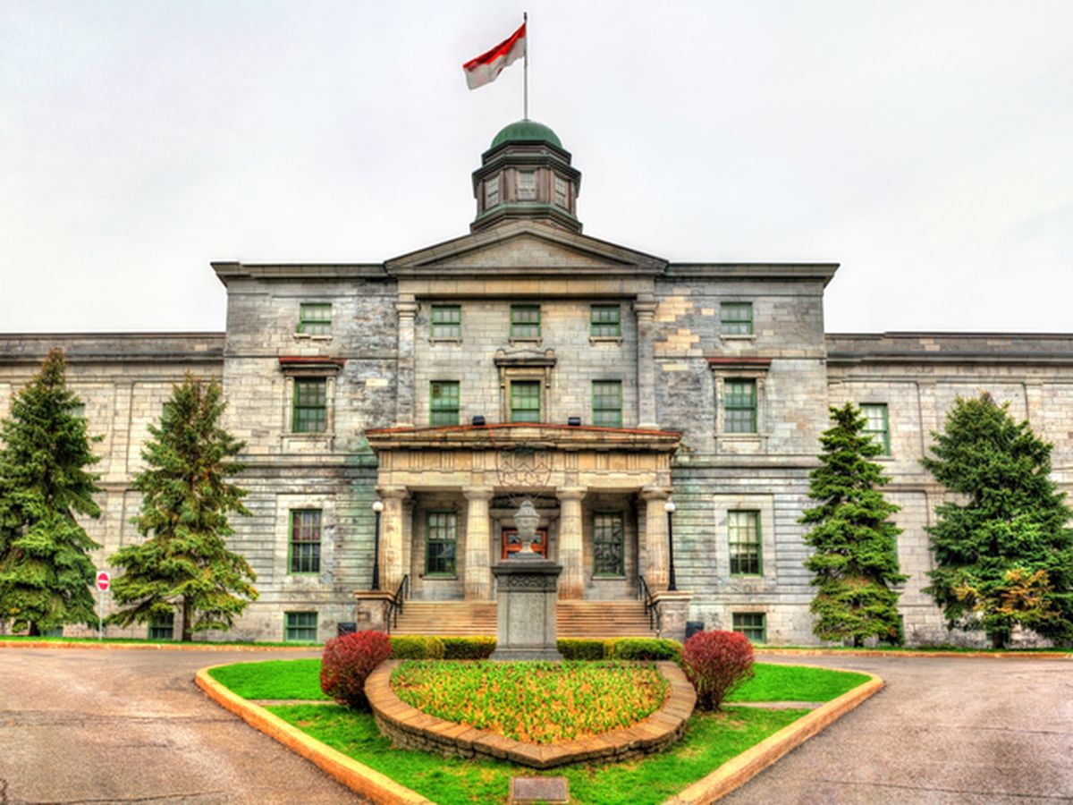 You Know You’re A McGill Student When… | LiveMtl.ca