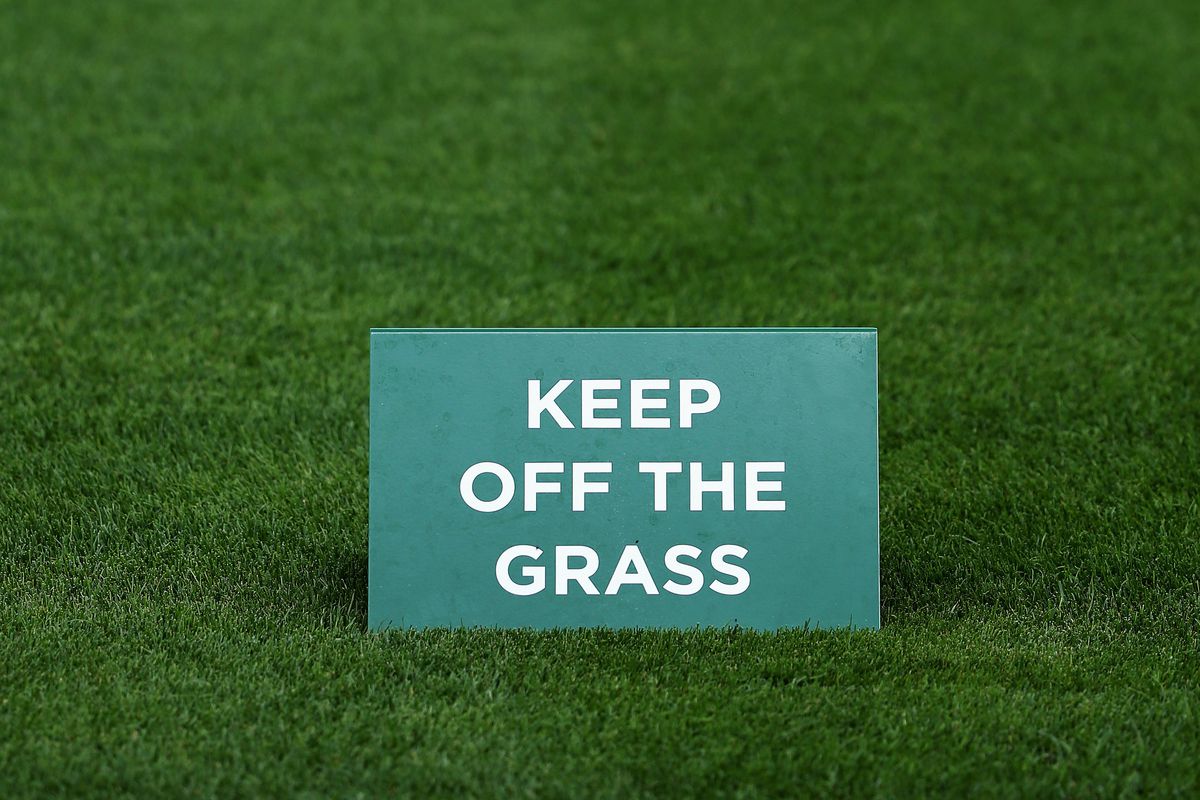 KEEP OFF THE GRASS, THE VEGANS ARE GOING TO EAT IT