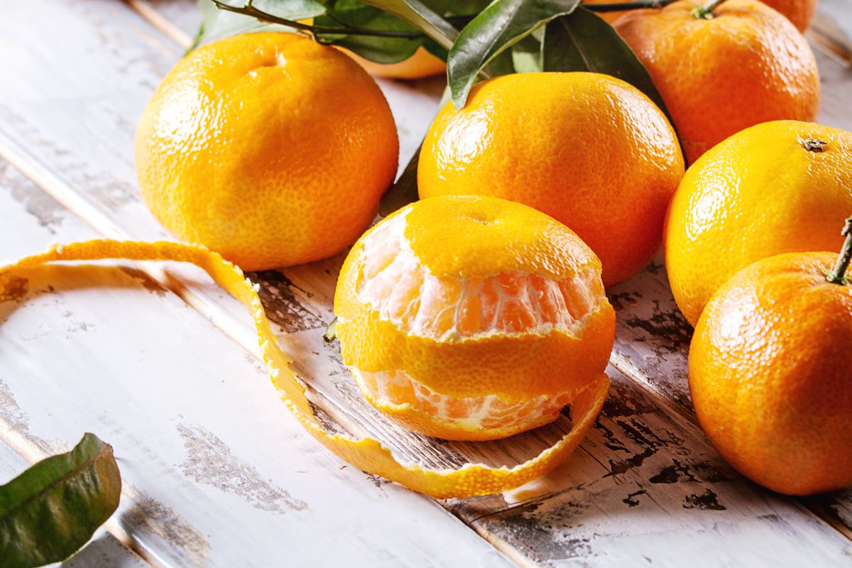 Ripe orange clementines or tangerines with leaves sit on a white wooden plank table, with one in front partially peeled.