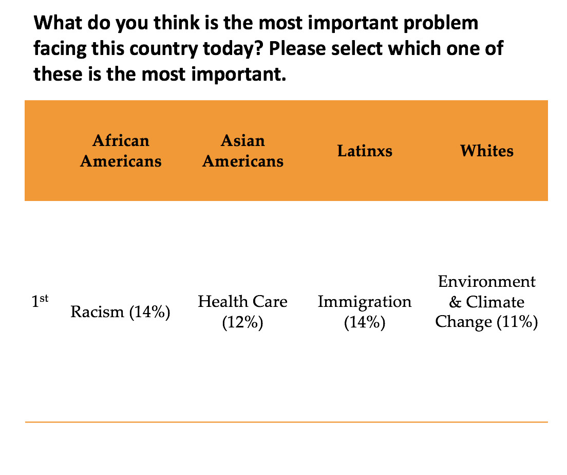 The top issues for young adults, broken down by racial group. 