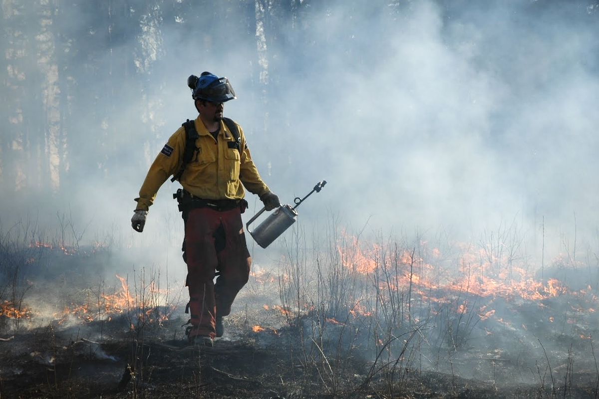 A person walks through smoke and fire beside a forest.